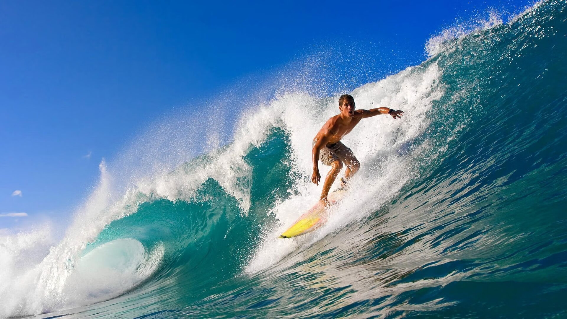 北美精英争霸：豪门球队一决雌雄，北美精英计划